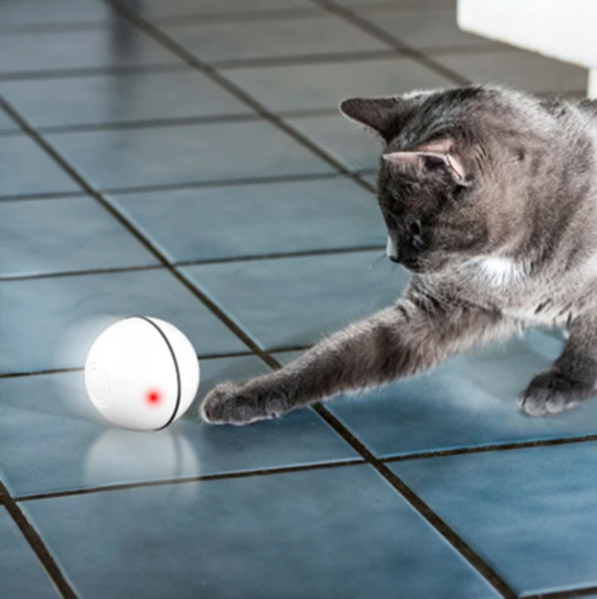 Smart Interactive Pet Ball