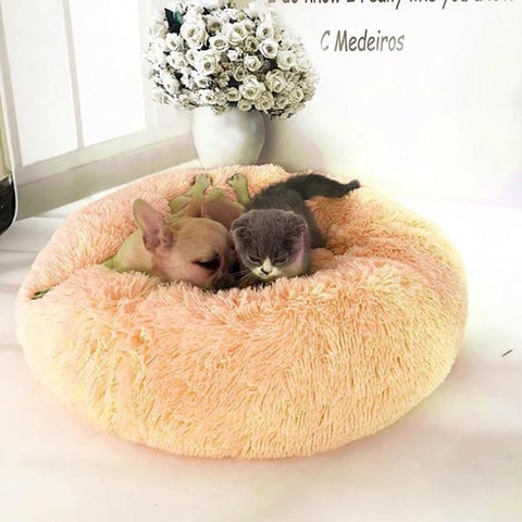 Comfy Calming pet Bed