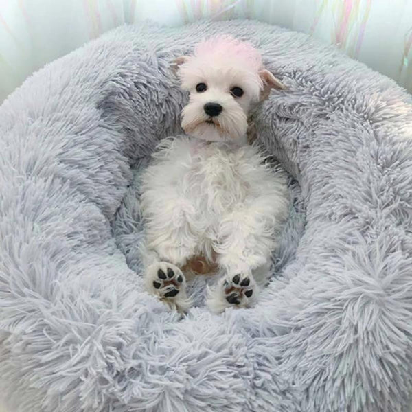 Comfy Calming pet Bed