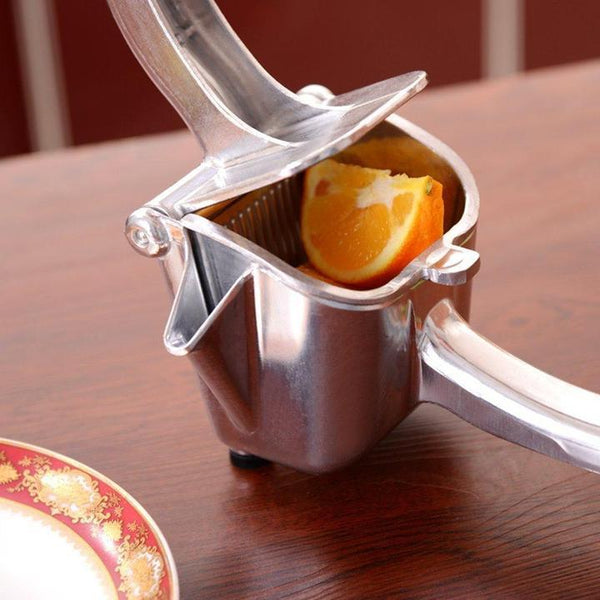 Lemon Juicer Stainless Steel Manual
