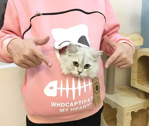 Cat  Sweatshirt