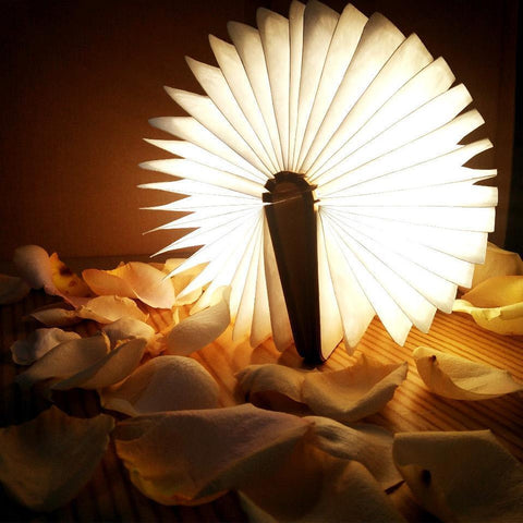 Book Light