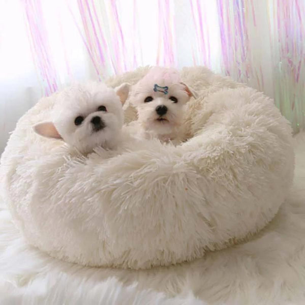 Comfy Calming pet Bed